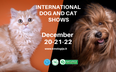 INTERNATIONAL DOGS AND CATS SHOW