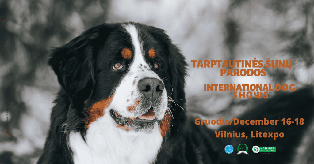 INTERNATIONAL DOG SHOWS
