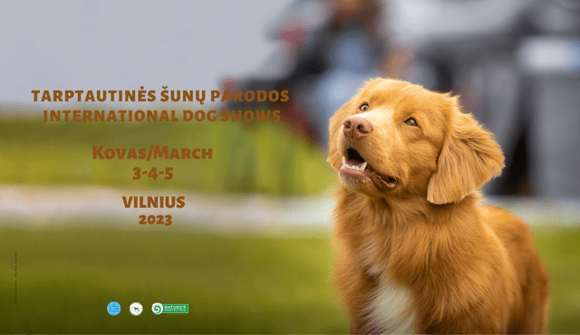 3 International Dog Shows