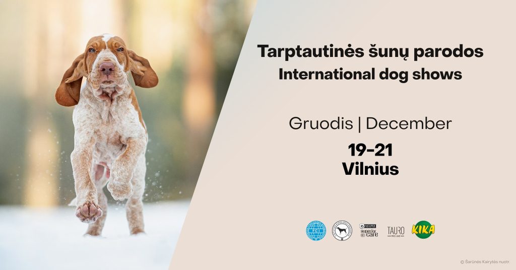 Tarptautinės šunų parodos