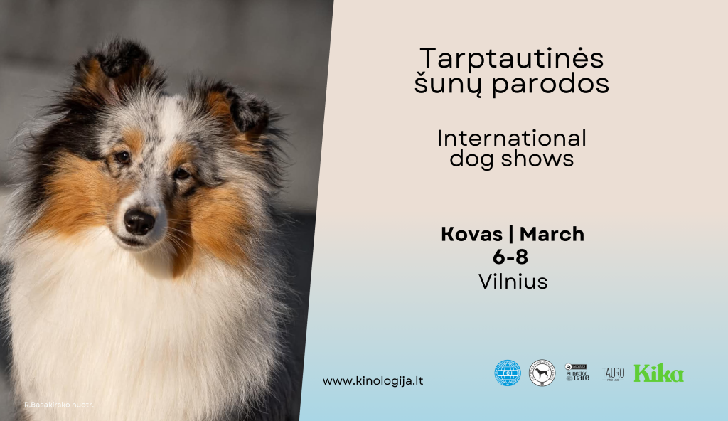 Tarptautinė šunų paroda